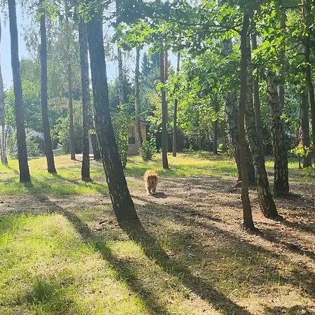 Nad Rzeczka * Bledowo (Nowy Dwor Mazowiecki)