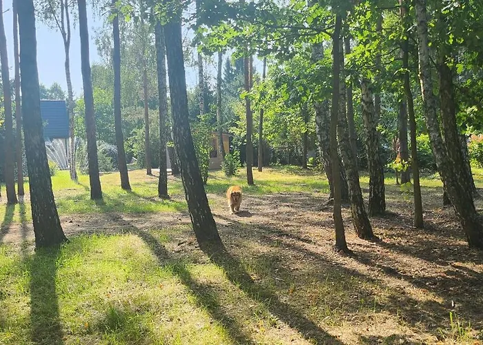 Nad Rzeczką * Bledowo (Nowy Dwor Mazowiecki)